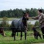 Heii, keitäs te olette?